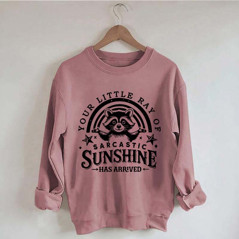 Your Little Ray Of Sarcastic Sunshine Sweatshirt