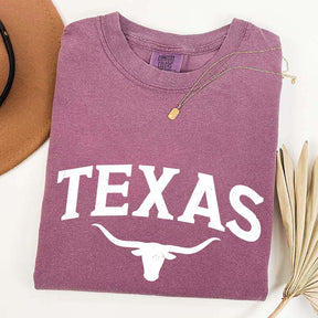 Retro Comfort Colors Texas T-Shirt
