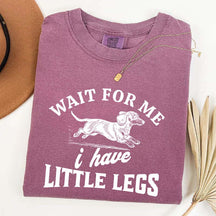 I Have Little Legs Dachshund T-Shirt