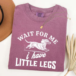I Have Little Legs Dachshund T-Shirt