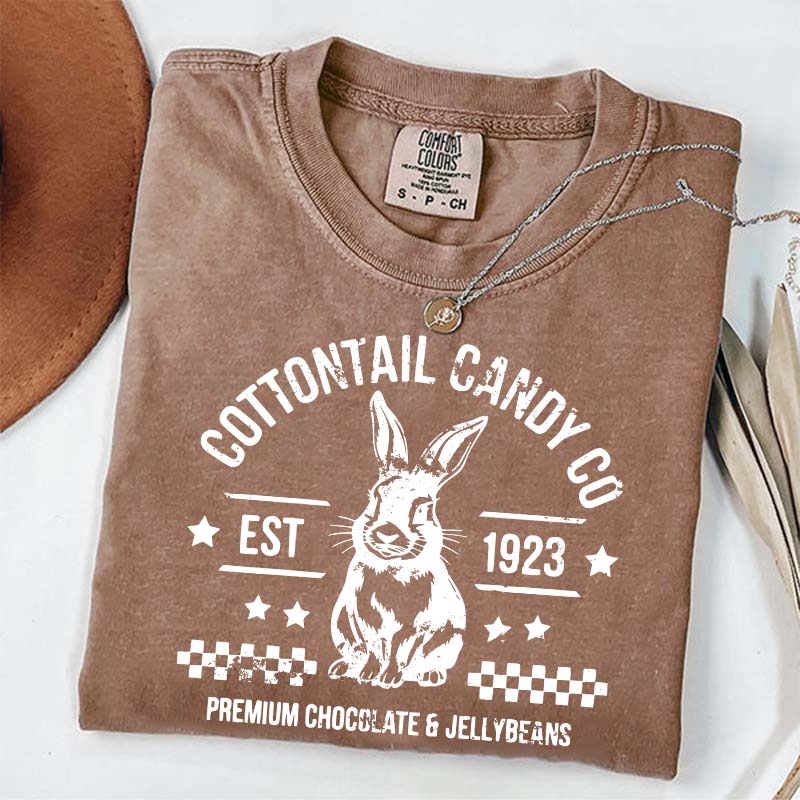 Pastel Easter Easter Egg Bunny T-Shirt