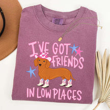 I've Got Friends In Low Places T-Shirt