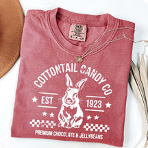 Pastel Easter Easter Egg Bunny T-Shirt