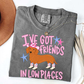 I've Got Friends In Low Places T-Shirt