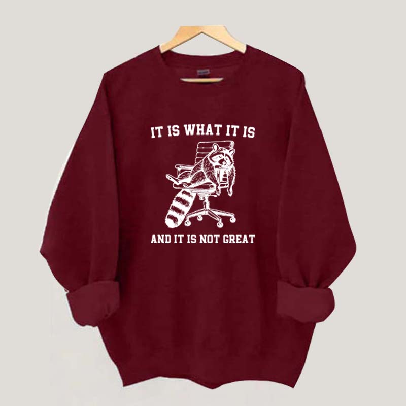 It Is What It Is Racoon Sweatshirt