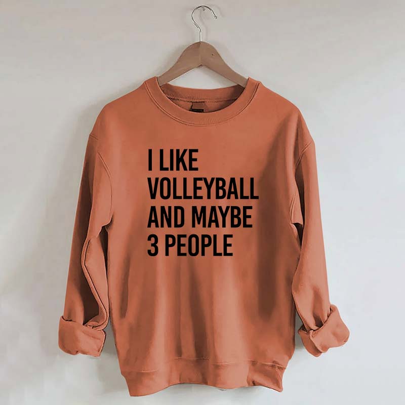 I Like Volleyball And Maybe 3 People Sweatshirt