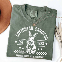 Pastel Easter Easter Egg Bunny T-Shirt