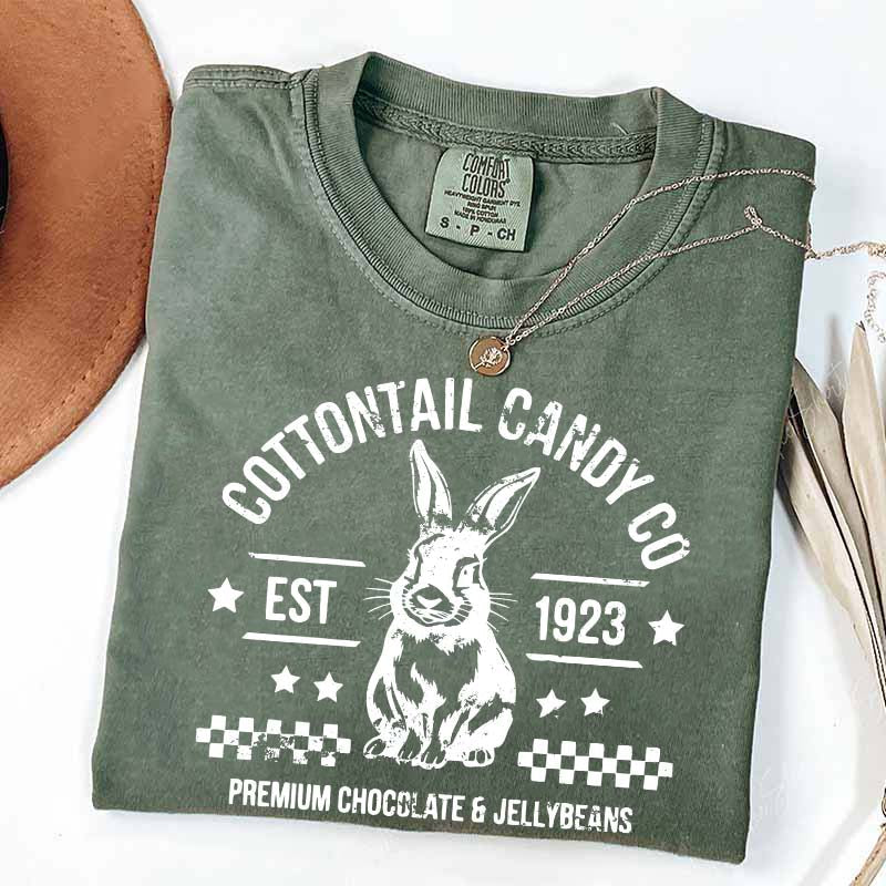 Pastel Easter Easter Egg Bunny T-Shirt