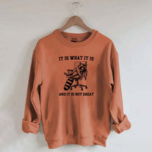 It Is What It Is Racoon Sweatshirt