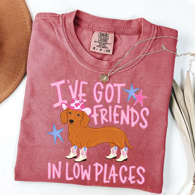 I've Got Friends In Low Places T-Shirt
