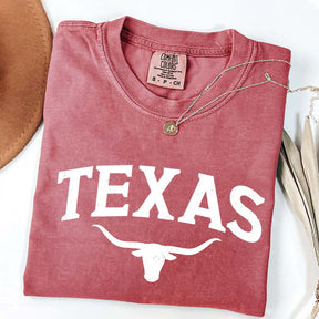 Retro Comfort Colors Texas T-Shirt