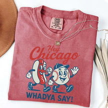 Hey Chicago Funny Baseball T-Shirt