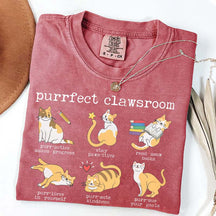 Funny Teacher Cat Book T-Shirt