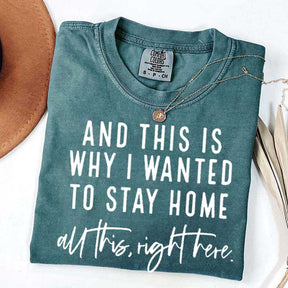 See This Is Why I Wanted To Stay Home T-Shirt