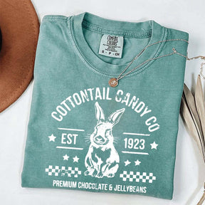 Pastel Easter Easter Egg Bunny T-Shirt