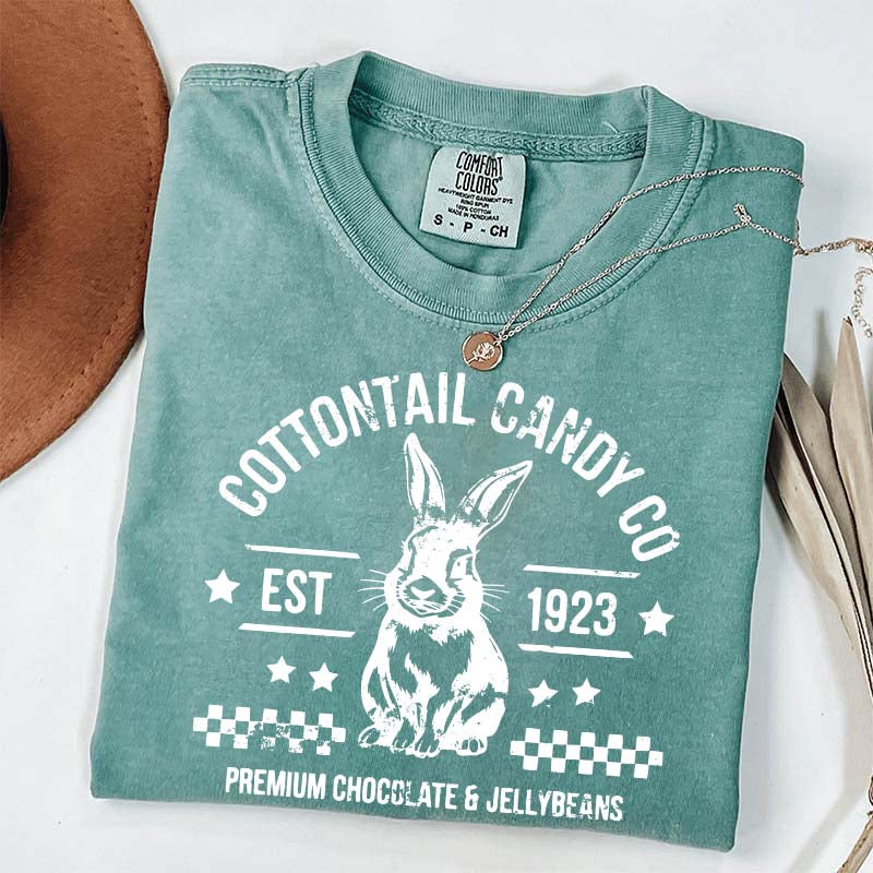 Pastel Easter Easter Egg Bunny T-Shirt