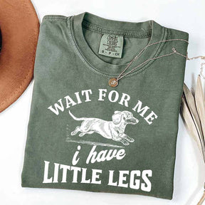 I Have Little Legs Dachshund T-Shirt