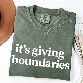 It's Giving Boundaries T-Shirt