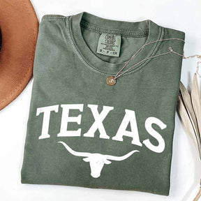 Retro Comfort Colors Texas T-Shirt