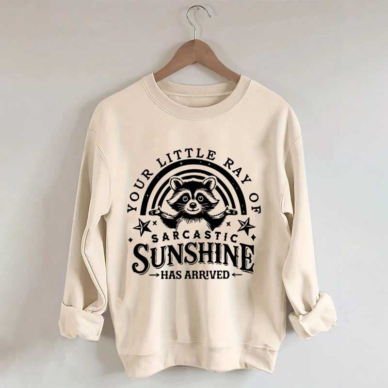 Your Little Ray Of Sarcastic Sunshine Sweatshirt