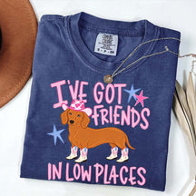 I've Got Friends In Low Places T-Shirt