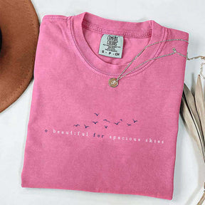 America the Beautiful T-Shirt