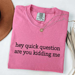 Hey Quick Question Are You Kidding Me Funny T-Shirt