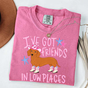 I've Got Friends In Low Places T-Shirt