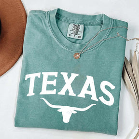 Retro Comfort Colors Texas T-Shirt