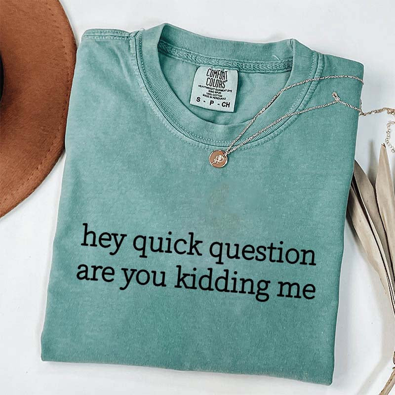 Hey Quick Question Are You Kidding Me Funny T-Shirt