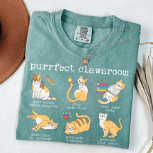 Funny Teacher Cat Book T-Shirt