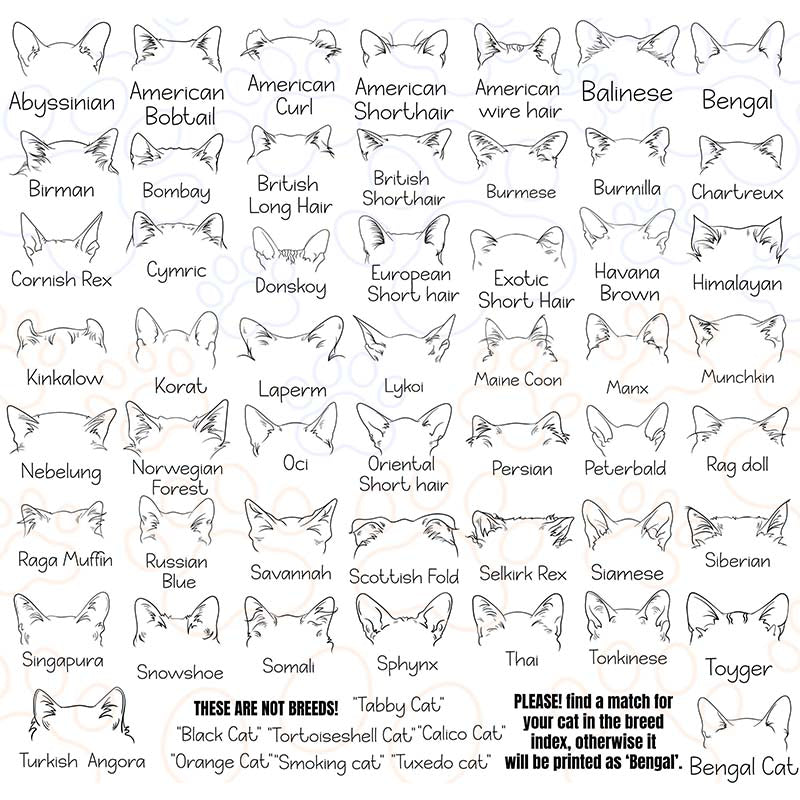 Custom Dog and Cat Ears Sweatshirt