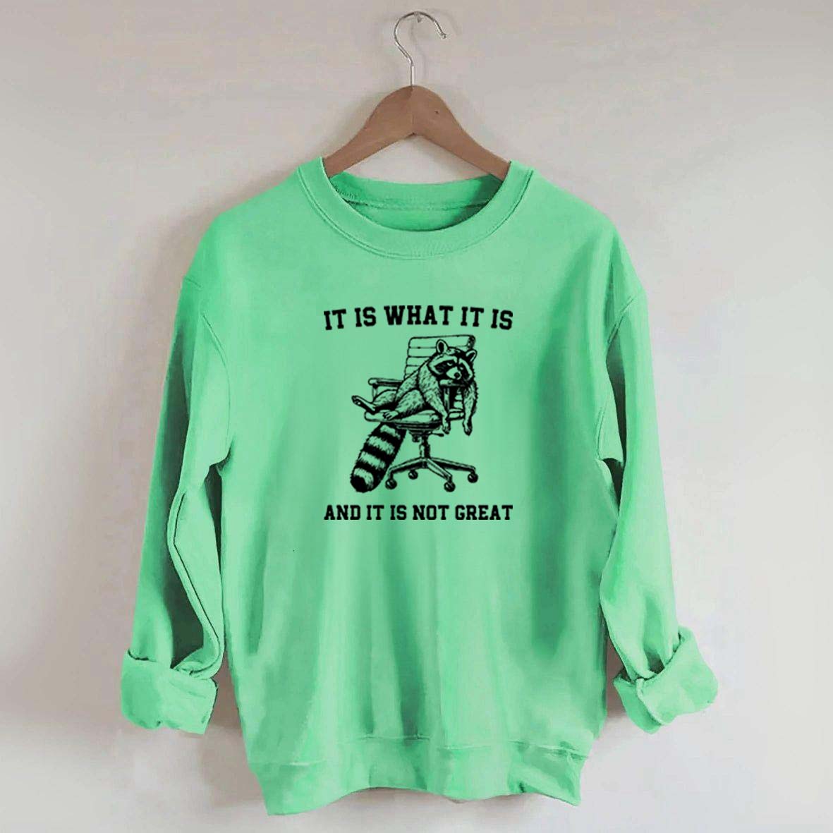 It Is What It Is Racoon Sweatshirt