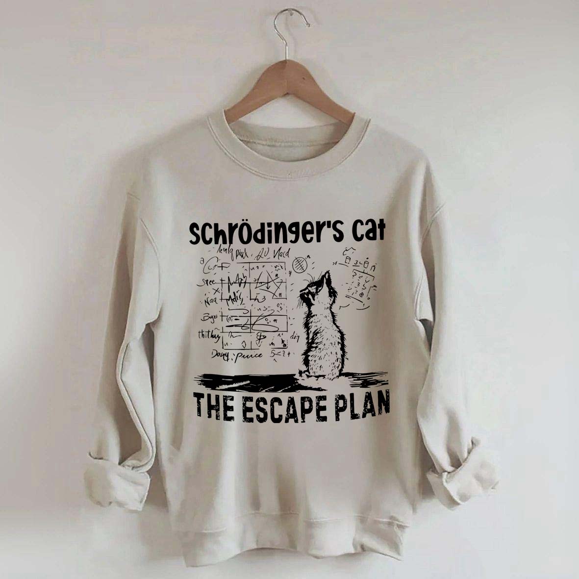 Funny Physics Science Cat Sweatshirt