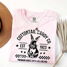 Pastel Easter Easter Egg Bunny T-Shirt