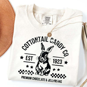 Pastel Easter Easter Egg Bunny T-Shirt