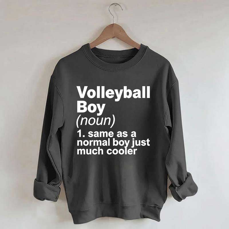 Volleyball Boy Definition Funny Sweatshirt