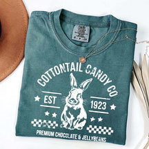 Pastel Easter Easter Egg Bunny T-Shirt