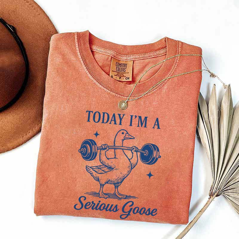 Today I'm A Serious Goose Weightlifting T-Shirt