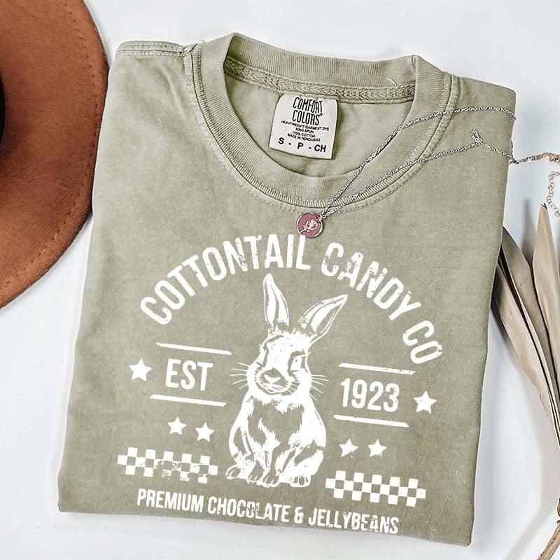 Pastel Easter Easter Egg Bunny T-Shirt