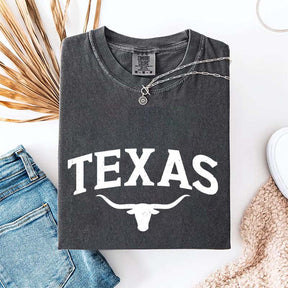 Retro Comfort Colors Texas T-Shirt