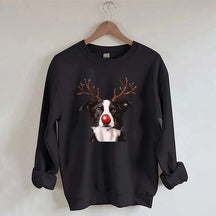 Border Collie Christmas Sweatshirt