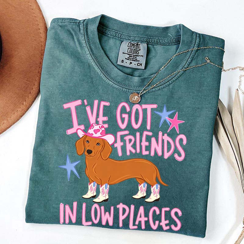 I've Got Friends In Low Places T-Shirt