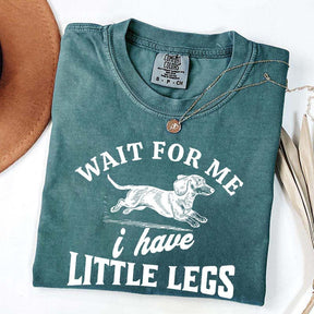 I Have Little Legs Dachshund T-Shirt