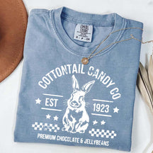 Pastel Easter Easter Egg Bunny T-Shirt