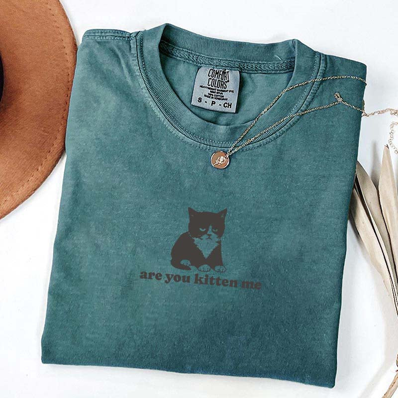 Are You Kitten Me Funny Cat Meme T-Shirt