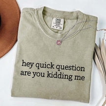Hey Quick Question Are You Kidding Me Funny T-Shirt