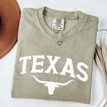 Retro Comfort Colors Texas T-Shirt