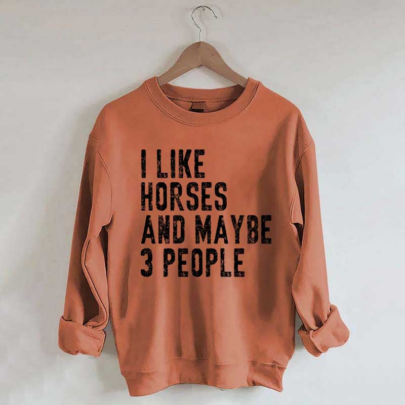 I Like Horses and Maybe 3 People Sweatshirt