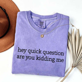 Hey Quick Question Are You Kidding Me Funny T-Shirt